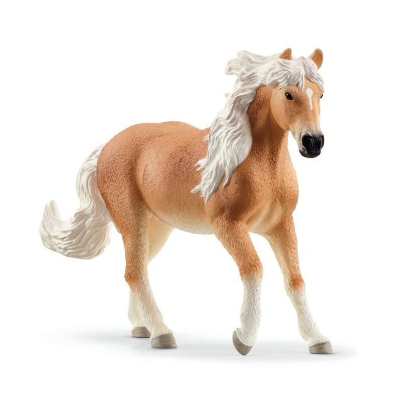 Grand Manege Equestre, Figurine and Accessories Box, Schleich 42639 Ho