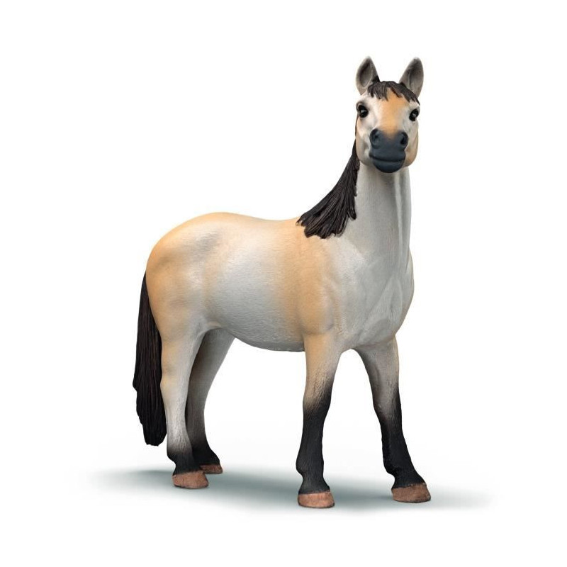 Box set with Mustang mare, SCHLEICH 42724 Farm World, from 4 years old