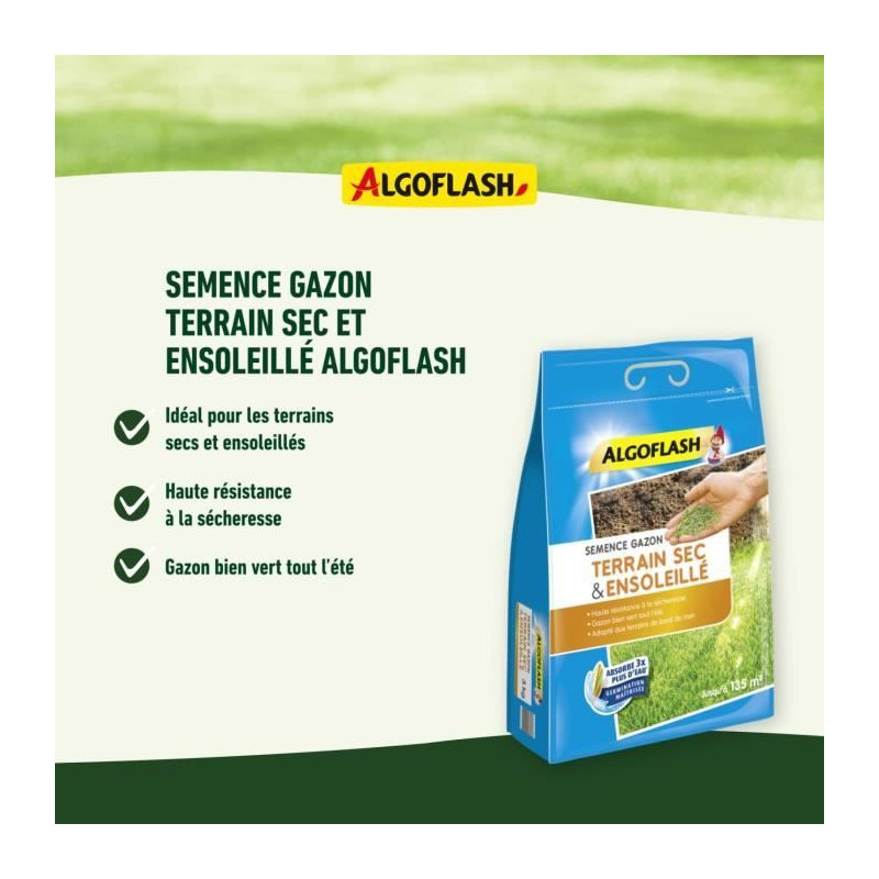Algoflash - Solid dry terrain 1kg
