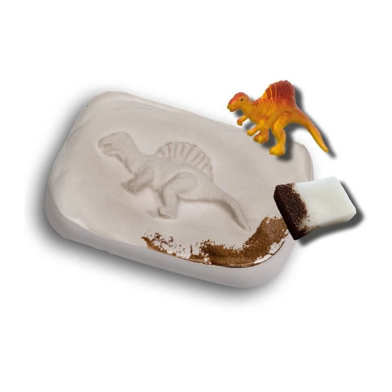 SES CREATIVE - Dinosaur Fossils