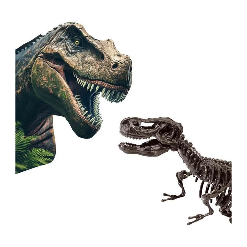2 in 1 Dinosaur and Skeleton Dig - T-rex - SES CREATIVE