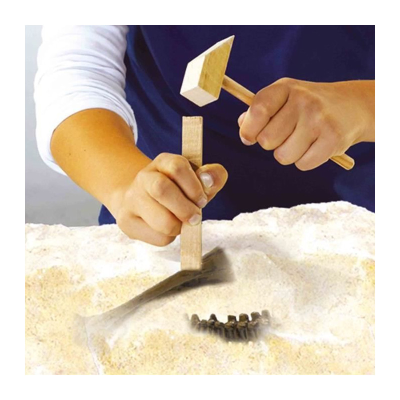 2 in 1 Dinosaur and Skeleton Dig - T-rex - SES CREATIVE