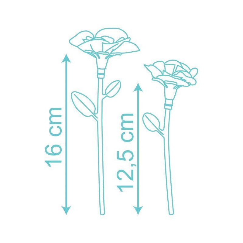 Flower Set