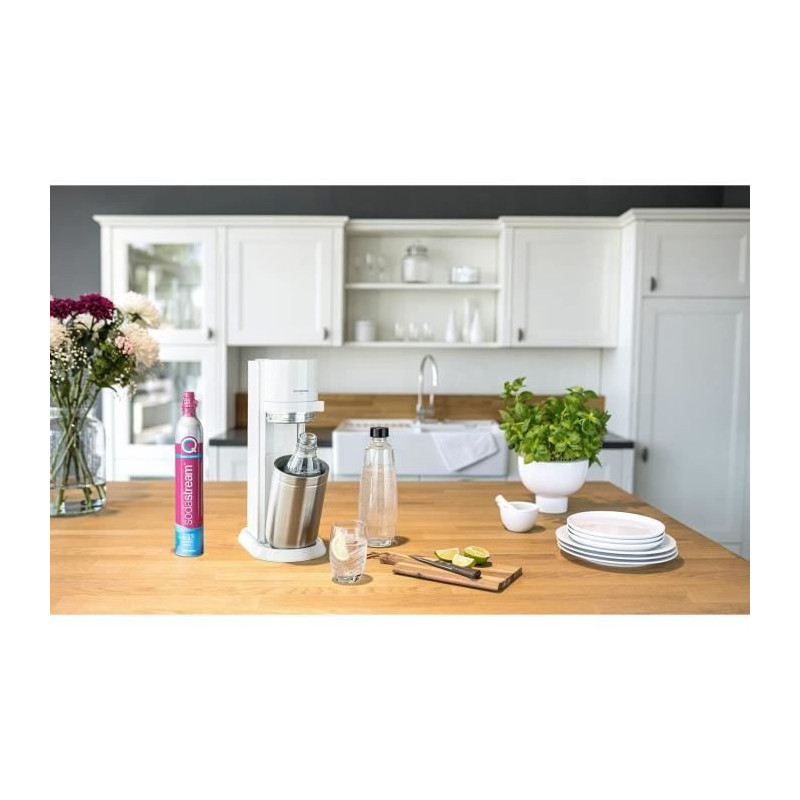 SODASTREAM 3000090 - Glass carafe 1L compatible only DUO machine - Dis