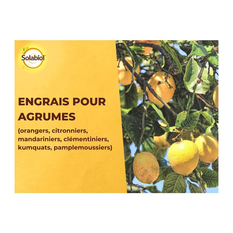 SOLABIOL SOAGY15 Citrus Fertilizer - 1.5 Kg