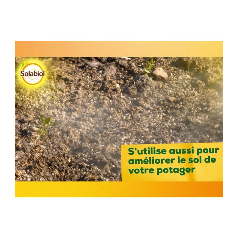 Solabiol Sochaux10 Lime and Magnesium Carbonate 10kg, efficient
