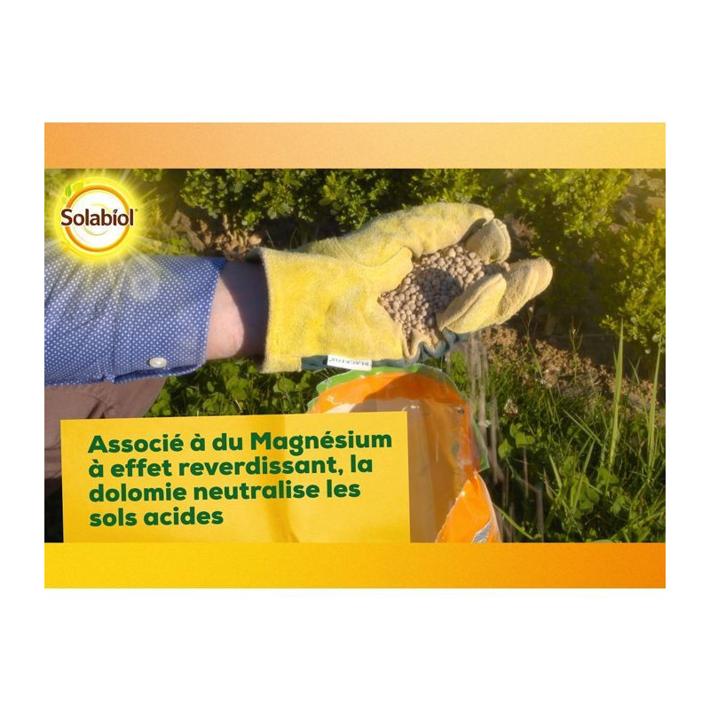 Solabiol Sochaux10 Lime and Magnesium Carbonate 10kg, efficient