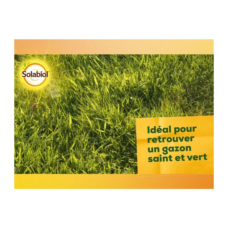 Solabiol Sochaux10 Lime and Magnesium Carbonate 10kg, efficient