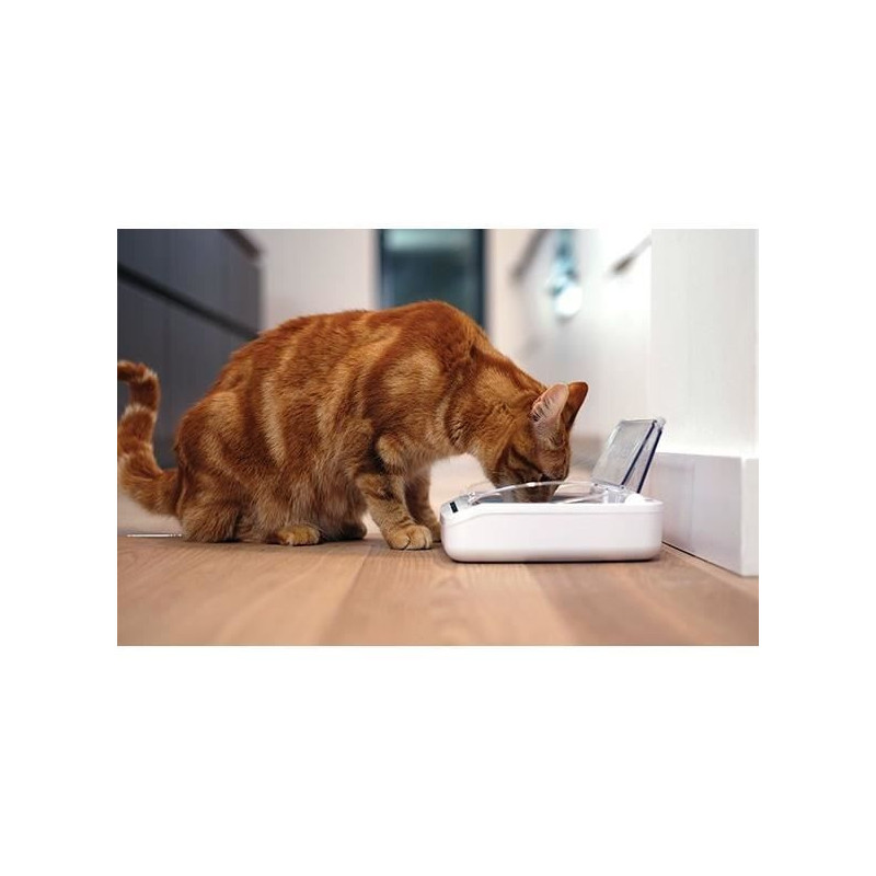 SUREFLAP Automatic Food Dispenser - SureFeed hermetic bowl - for cats
