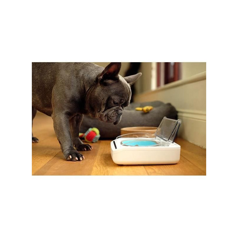 SUREFLAP Automatic Food Dispenser - SureFeed hermetic bowl - for cats