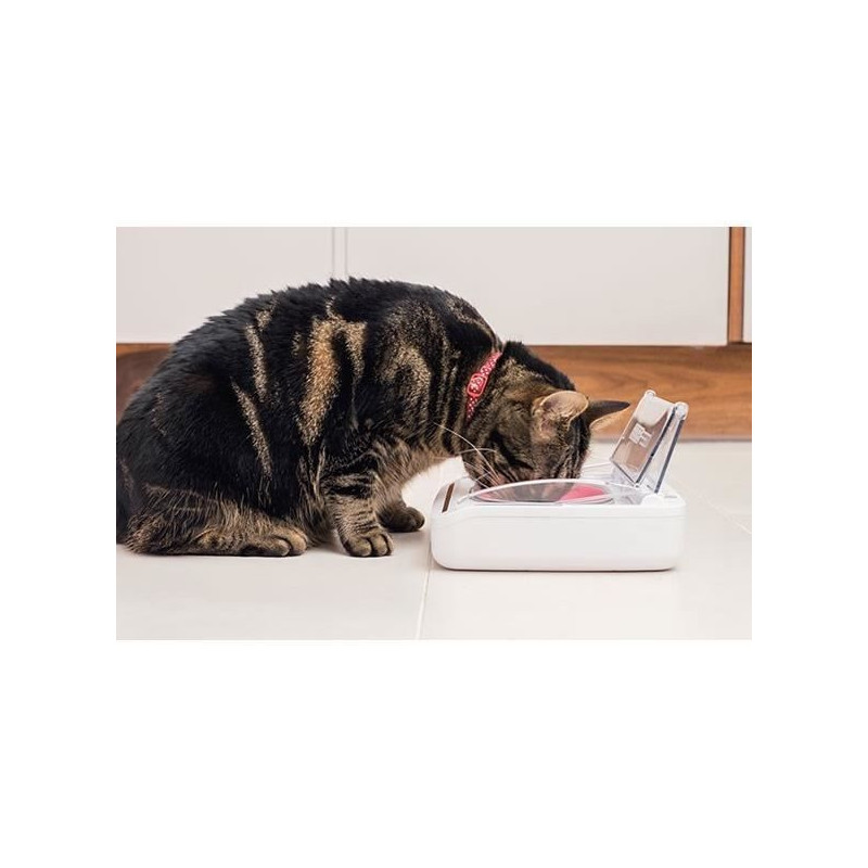 SUREFLAP Automatic Food Dispenser - SureFeed hermetic bowl - for cats