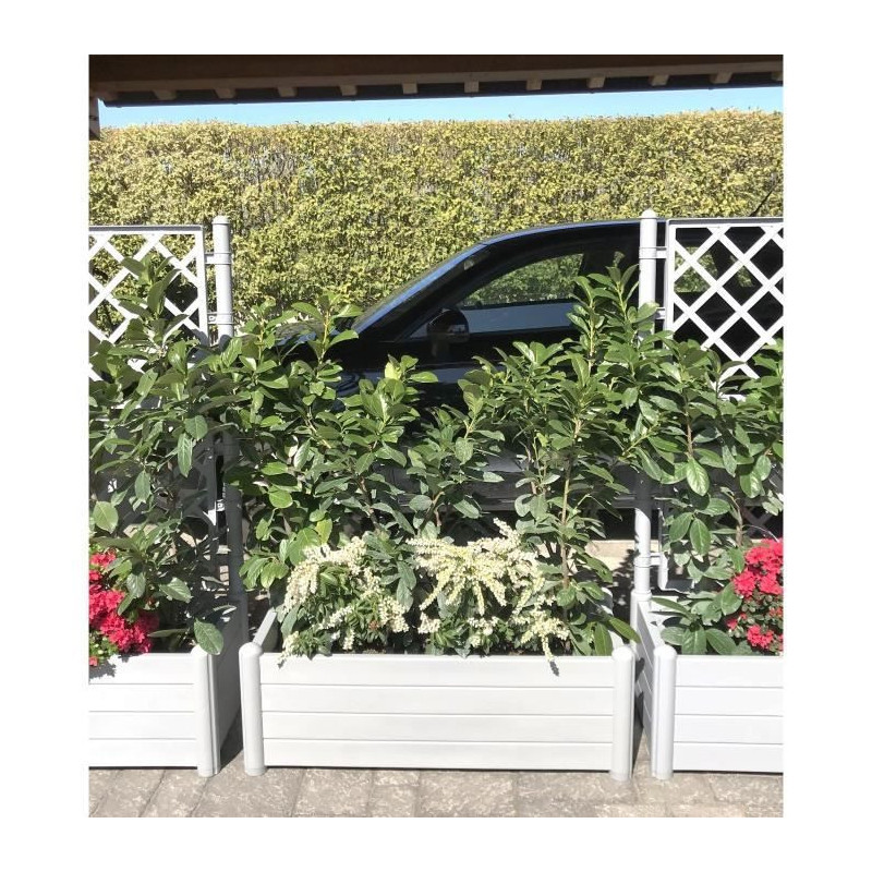 Stefanplast rectangular flower tray - Wooden finish - 100x43xh35cm - 8