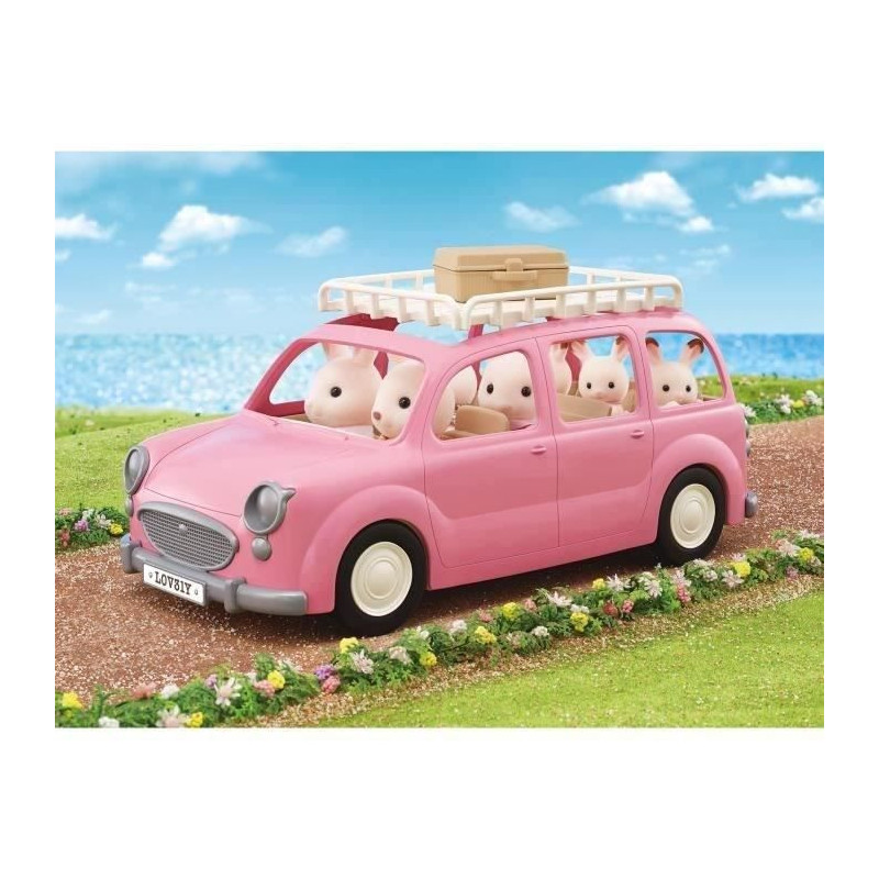 The pink minivan and picnic set
