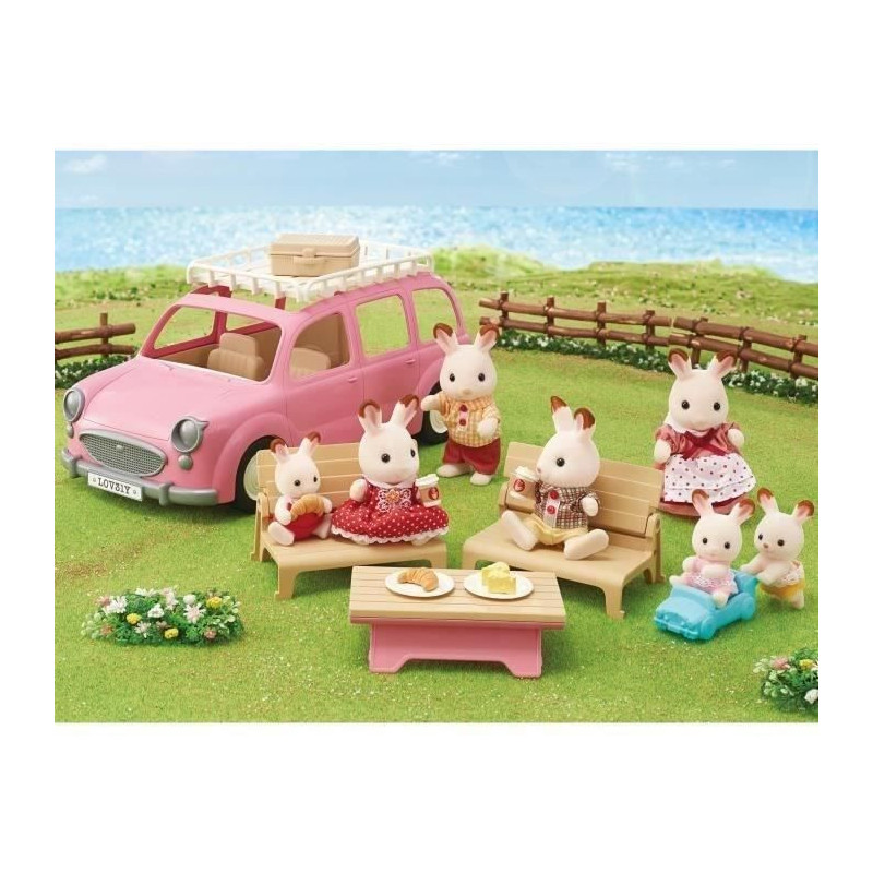 The pink minivan and picnic set