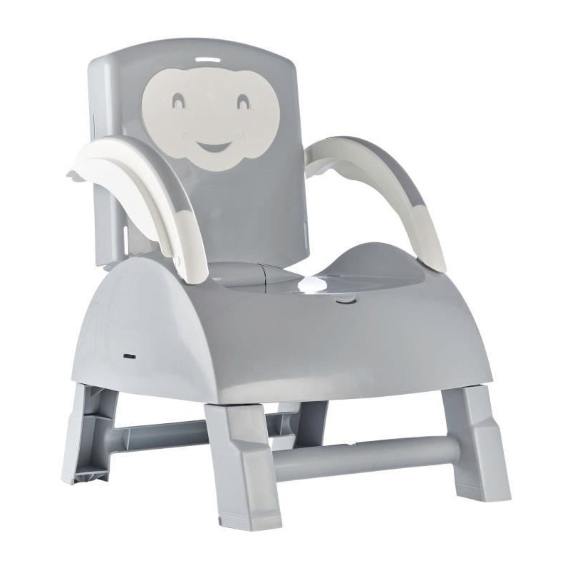 THERMOBABY BOOSTER of Chair 2 in 1 Charming Gray