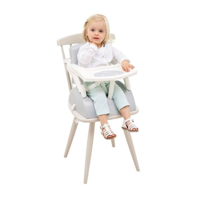 THERMOBABY BOOSTER of Chair 2 in 1 Charming Gray