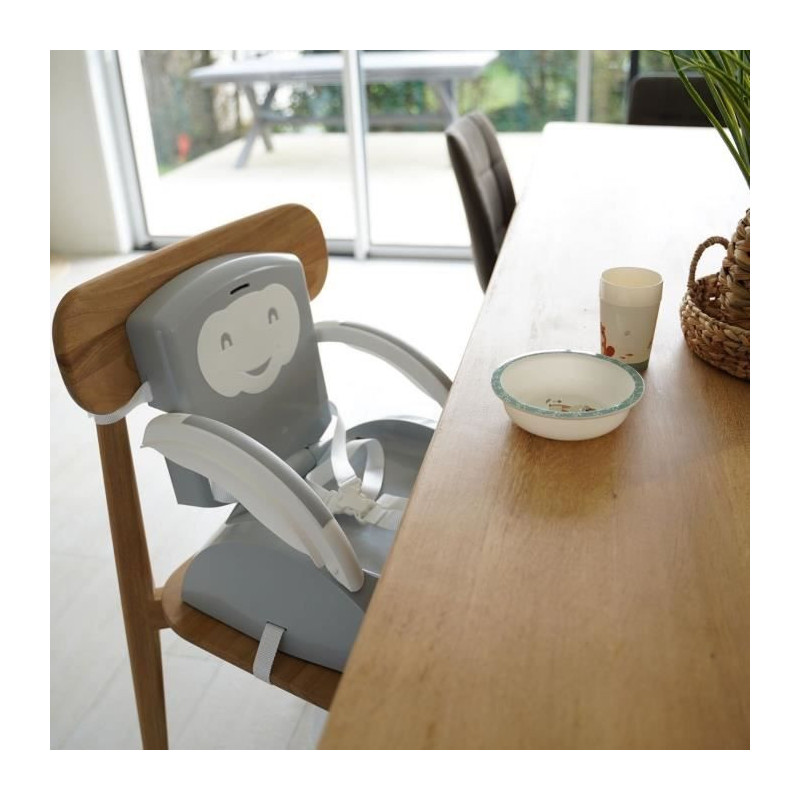 THERMOBABY BOOSTER of Chair 2 in 1 Charming Gray