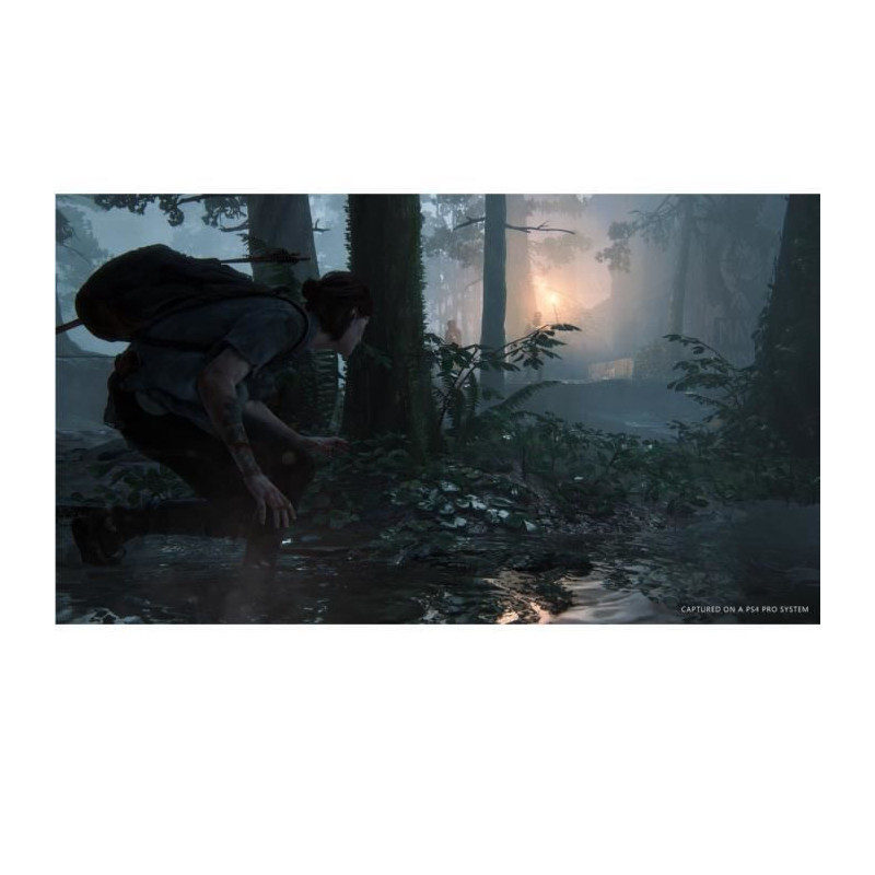 The Last of Us Part II PS4 Game