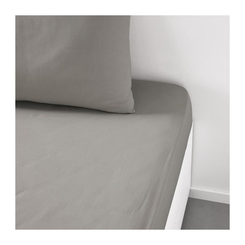 TODAY ESSENTIAL TODAY CHARG - 140 x 190 cm - 2 people - 100% UNE COTTO