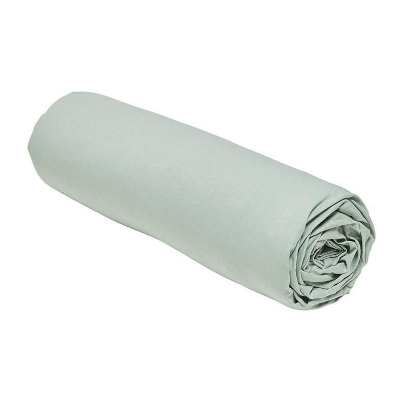 TODAY ESSENTIAL TODAY CHARG - 160 x 200+23 cm - 2 people - 100% UNA CO