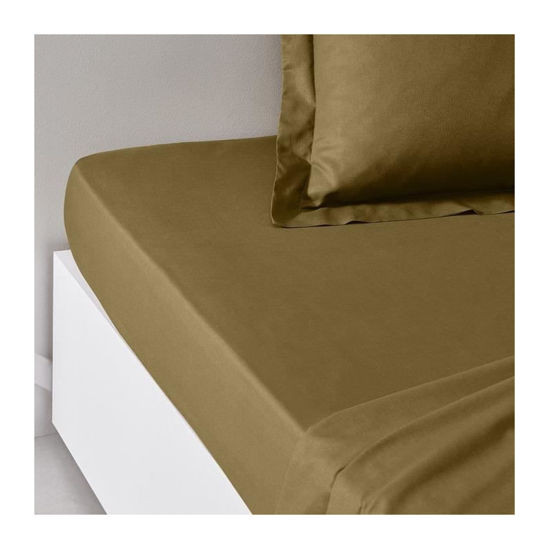 TODAY ESSENTIAL TODAY CHARG - 140 x 200+30 cm - 2 people - 100% UNA CO