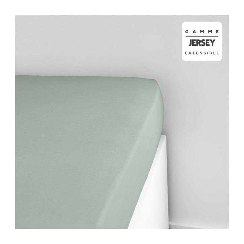 TODAY ESSENTIAL TODAY CHARG - 140 x 190+25 cm - 1 person - 100% Jersey