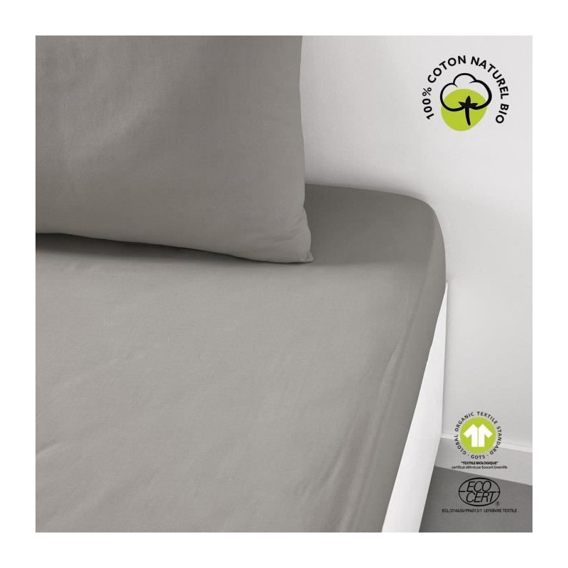 Fitted sheet - TODAY - 180 x 200 cm + 30 cm - Cotton - Organic Dune