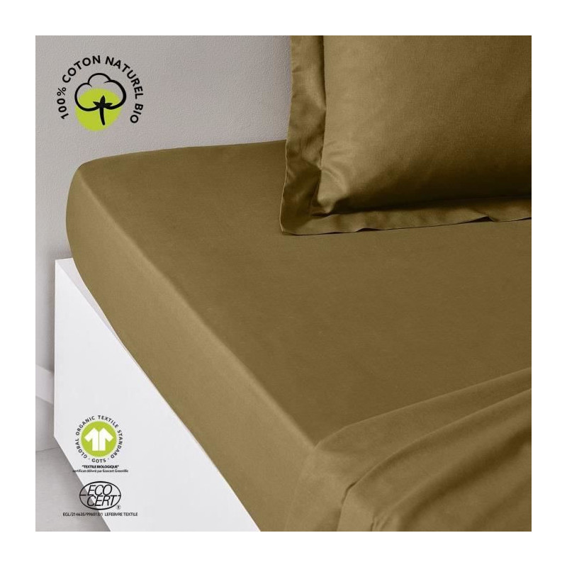 Fitted sheet - TODAY - 180 x 200 cm + 30 cm - Cotton - Organic Bronze