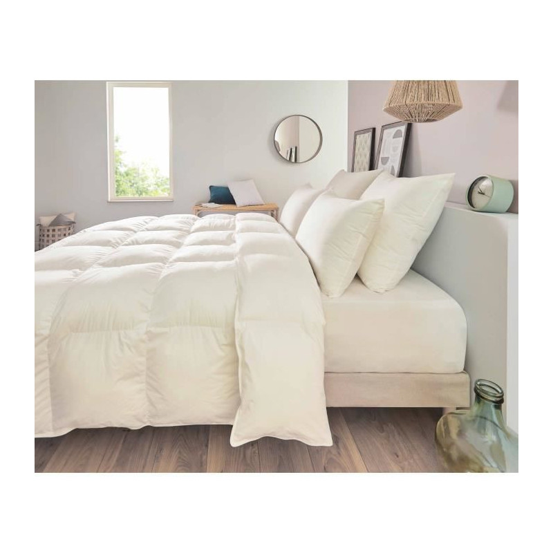 Pillow - TOISON D'OR - POLLUX - Firm comfort - 65 x 65 cm - White