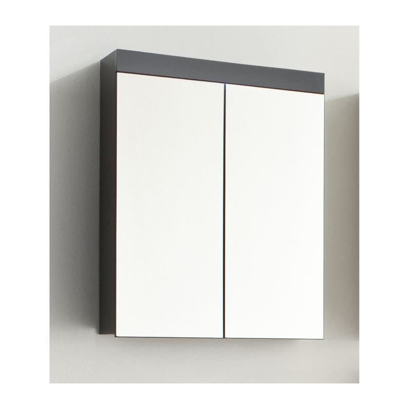 Bathroom Mirror Cabinet - AMANDA - 2 mirror doors - Grey - 60x17x77cm