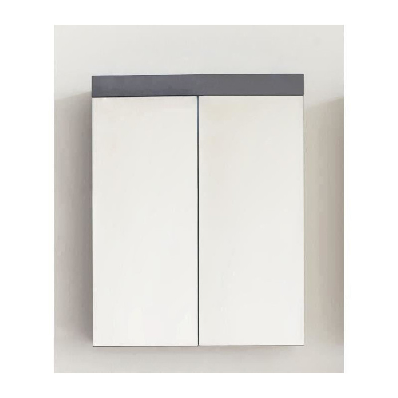 Bathroom Mirror Cabinet - AMANDA - 2 mirror doors - Grey - 60x17x77cm