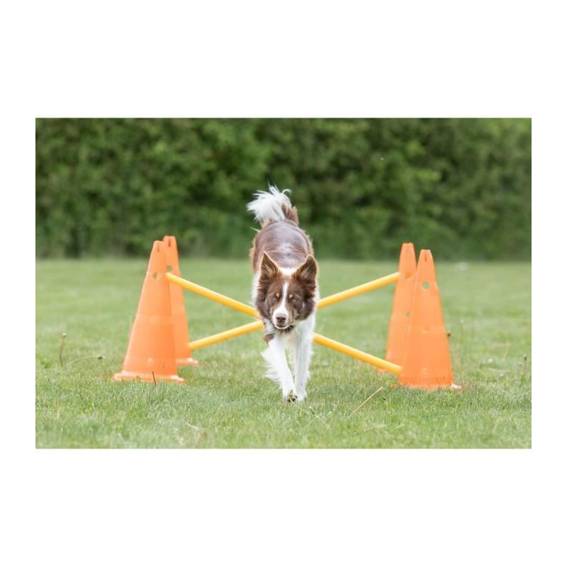 TRIXIE Set of 3 Obstacle activities - Ø 23 × 30 cm - 78 cm - Orange