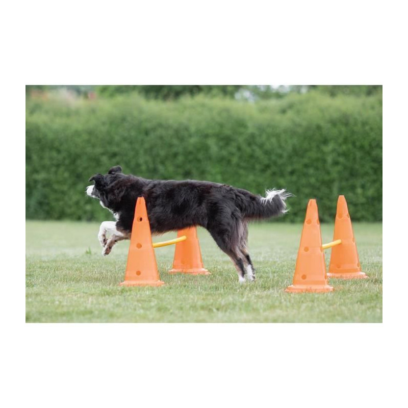 TRIXIE Set of 3 Obstacle activities - Ø 23 × 30 cm - 78 cm - Orange
