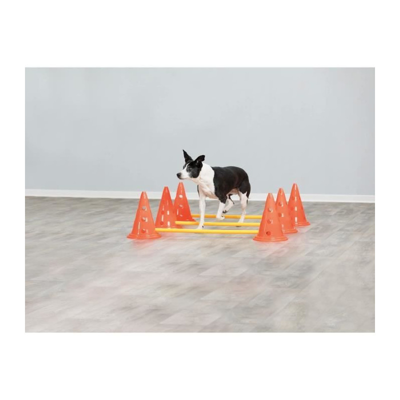TRIXIE Set of 3 Obstacle activities - Ø 23 × 30 cm - 78 cm - Orange