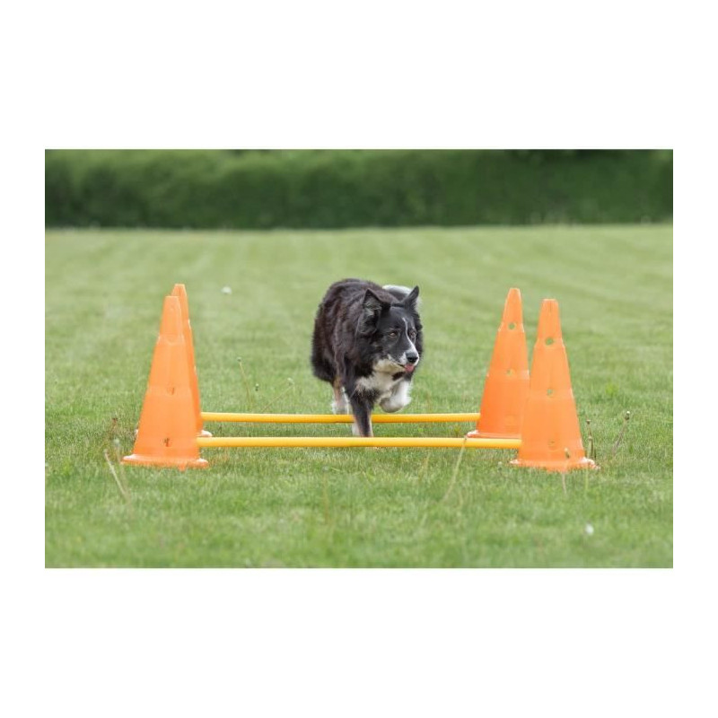 TRIXIE Set of 3 Obstacle activities - Ø 23 × 30 cm - 78 cm - Orange