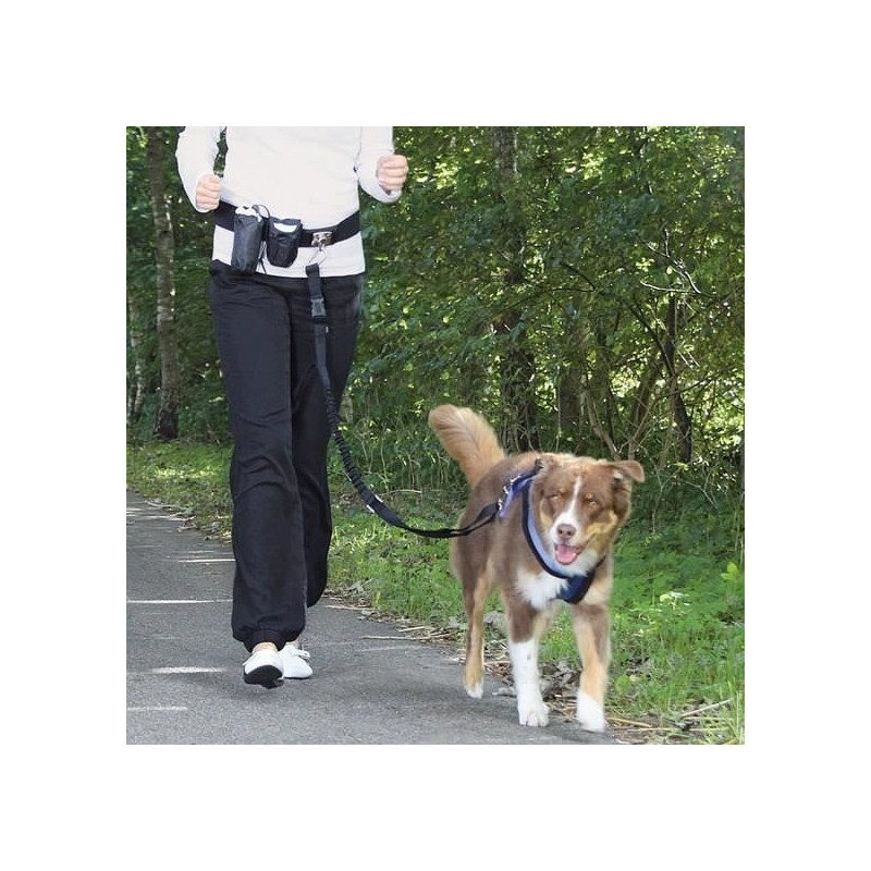 Ventral belt with leash