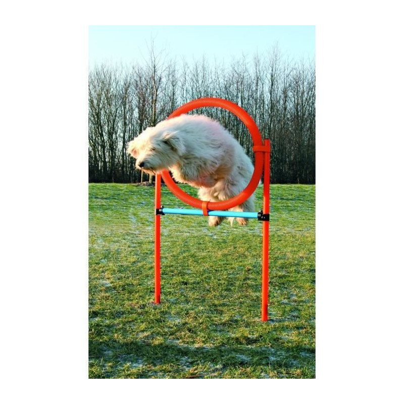 TRIXIE Dog Agility Hoop 115 x 3cm Plastic
