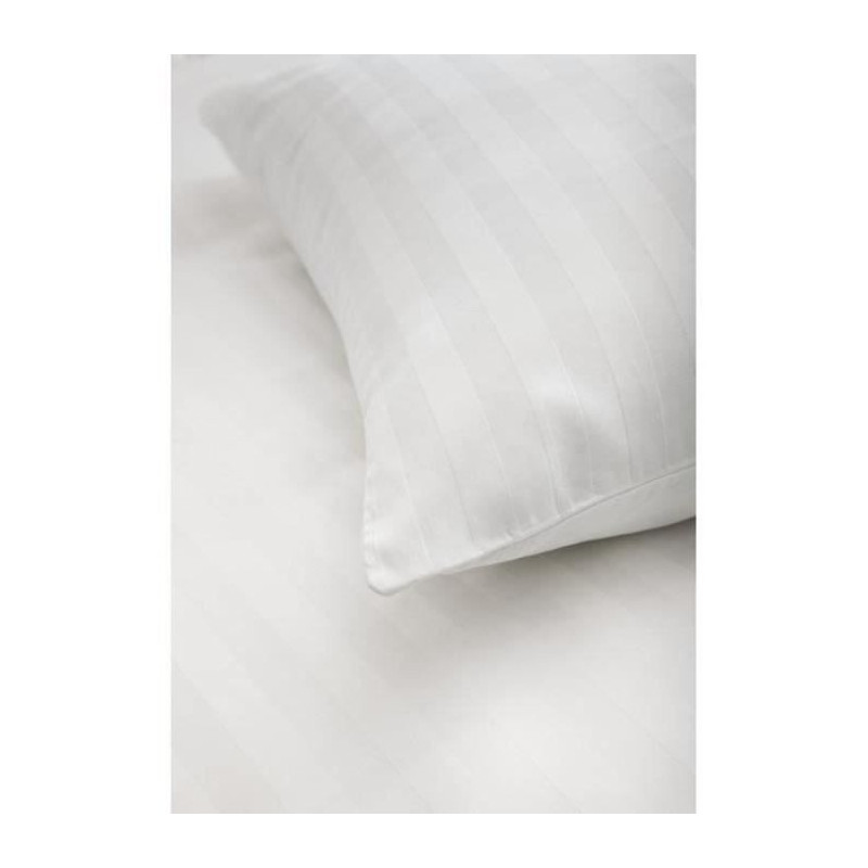 TODAY PRESTIGE TODAY BLATE - 220 x 240 cm - 2 people - 100% cotton sat
