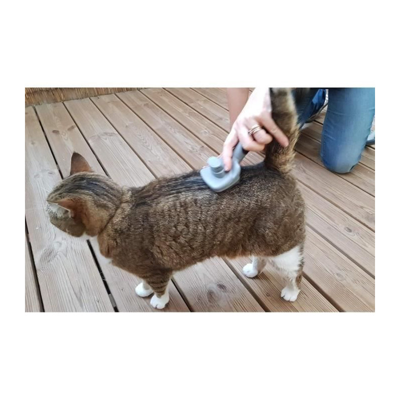 VETOCANIS Retractable and self-cleaning card brush - To remove dead ha