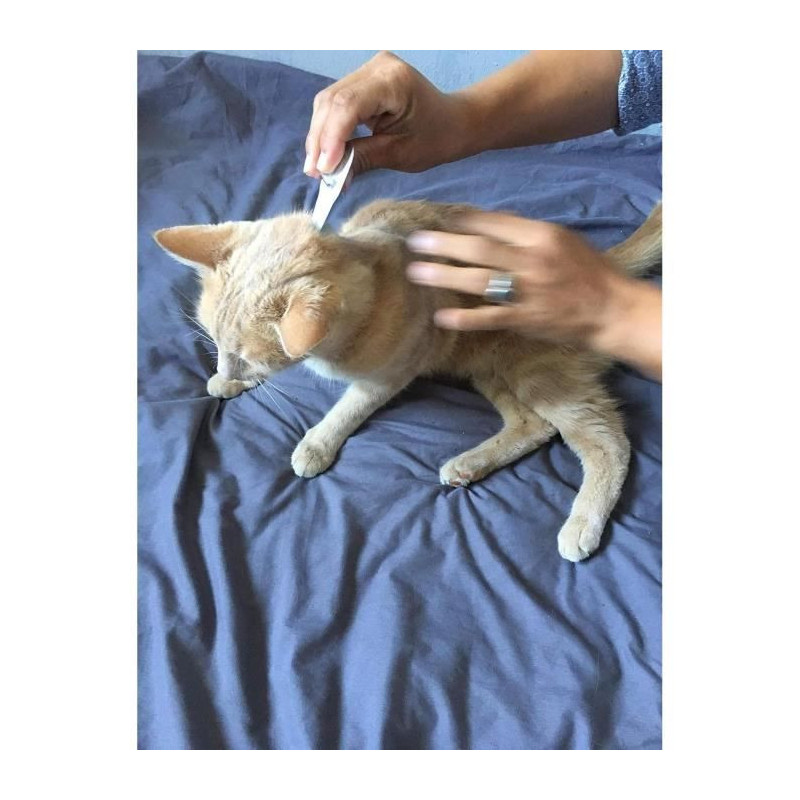 VETOCANIS Anti-flea and anti-tick pipettes Duo - 2 pipettes for 5 week
