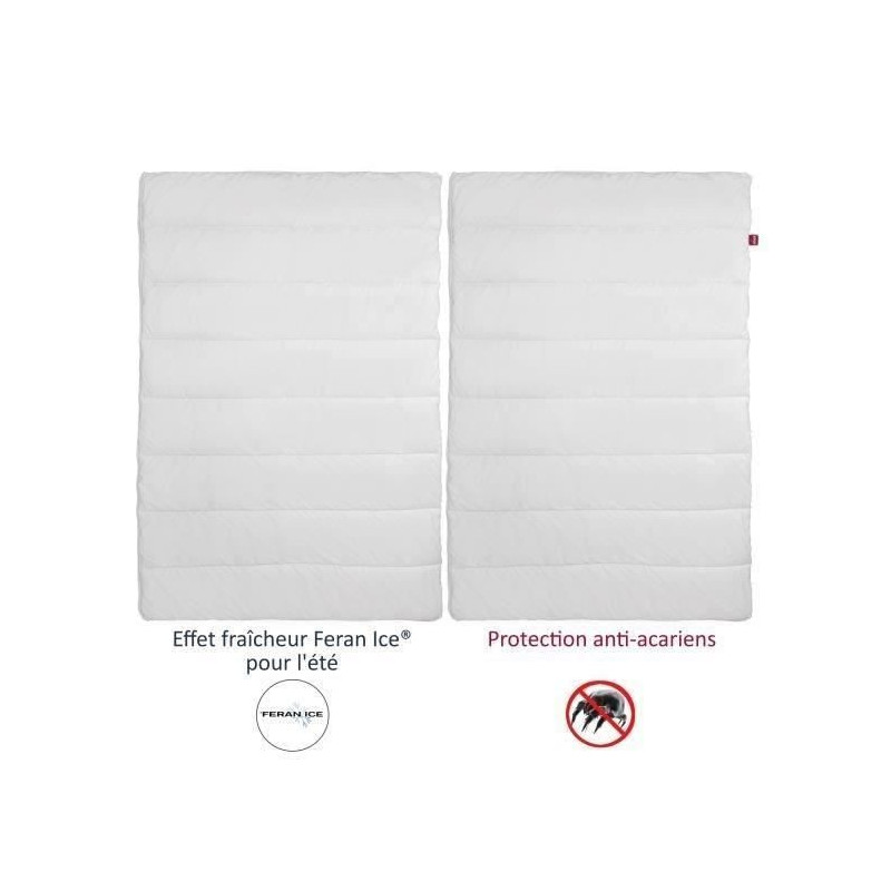 Abeil duvet 4 anti-Acurian seasons 240x260cm
