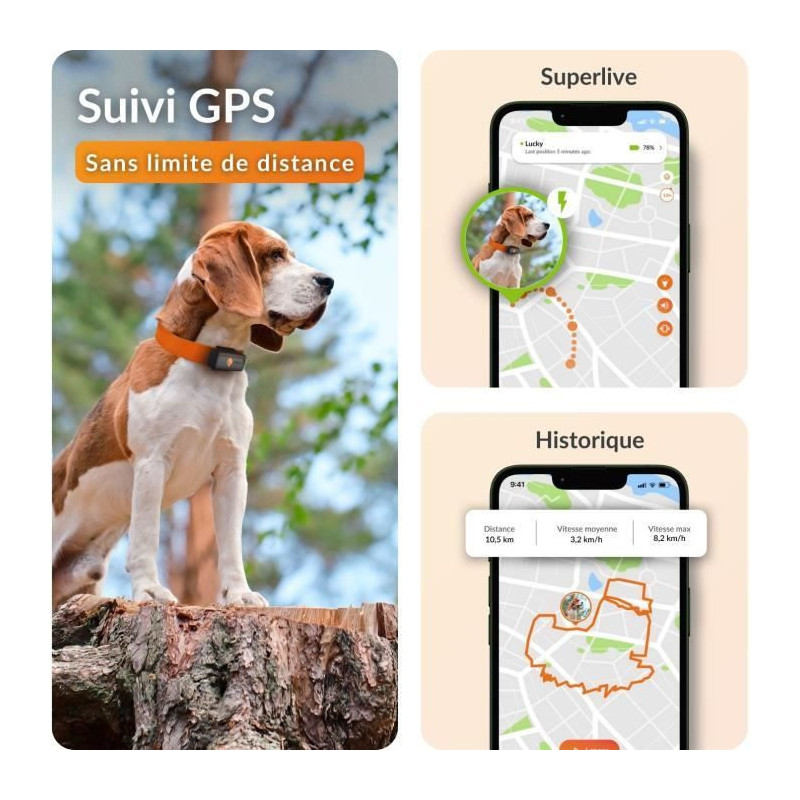 GPS tracker for dogs - Weenect XS (Black Edition 2023)