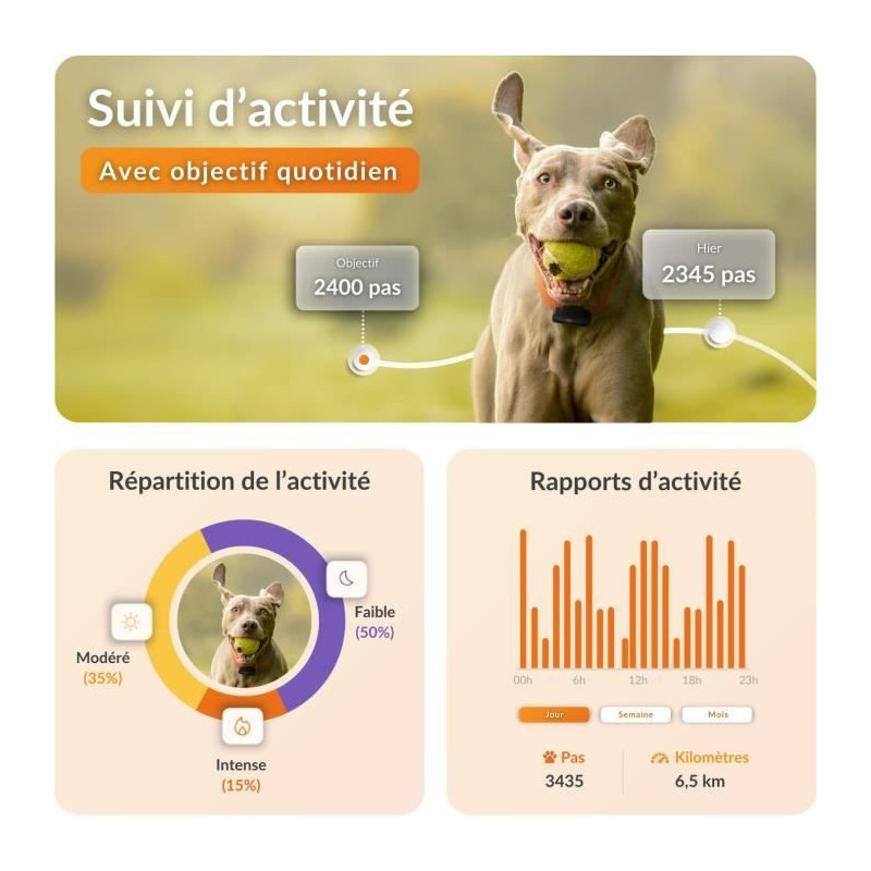 GPS tracker for dogs - Weenect XS (Black Edition 2023)