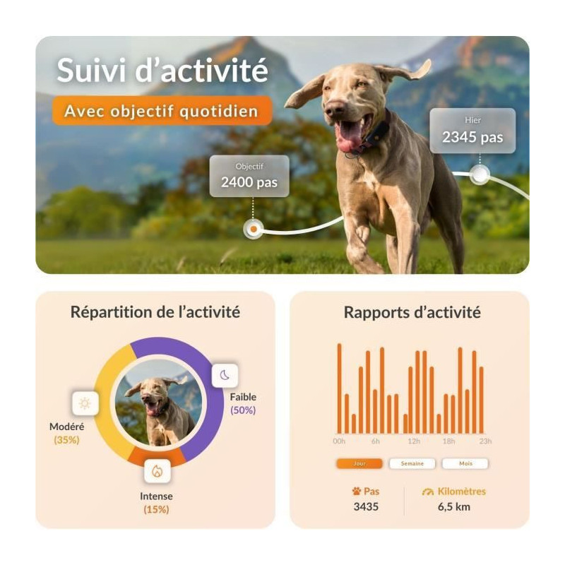 GPS dog collar - WEENECT Dog XT - XL antenna - Waterproof - Julius-K9