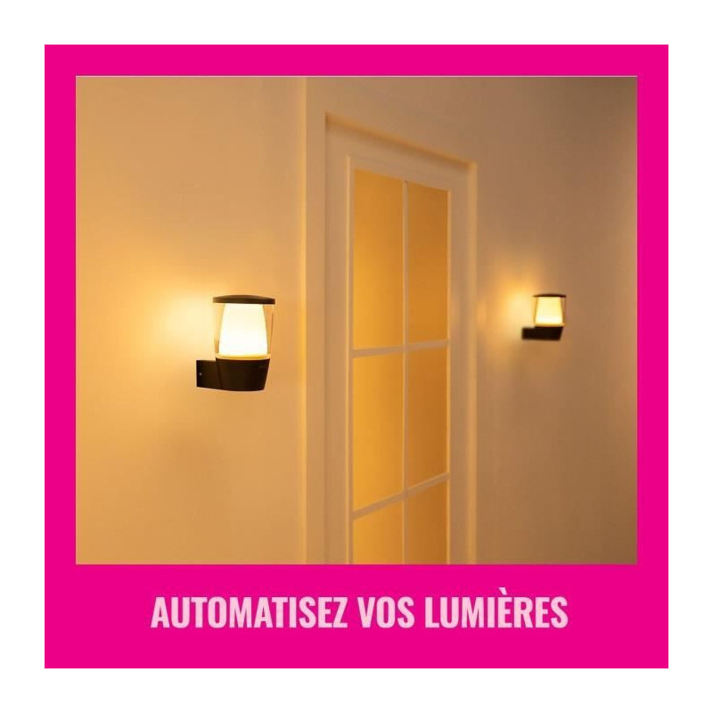 WIZ ELPAS wall light - Connected - Outdoor - Black