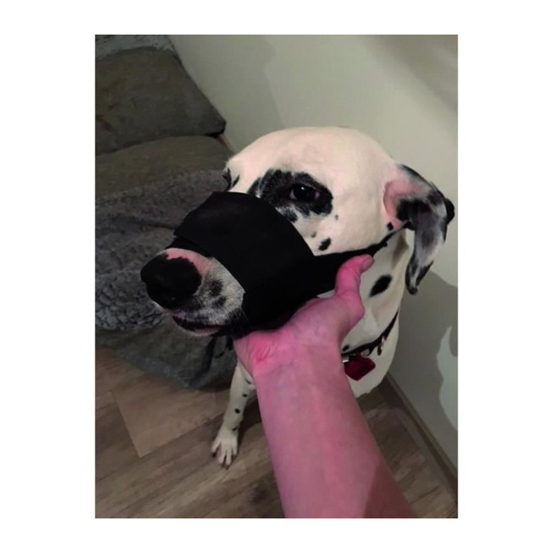 Yago museliere in black nylon for large dog, muzzle part with breathab