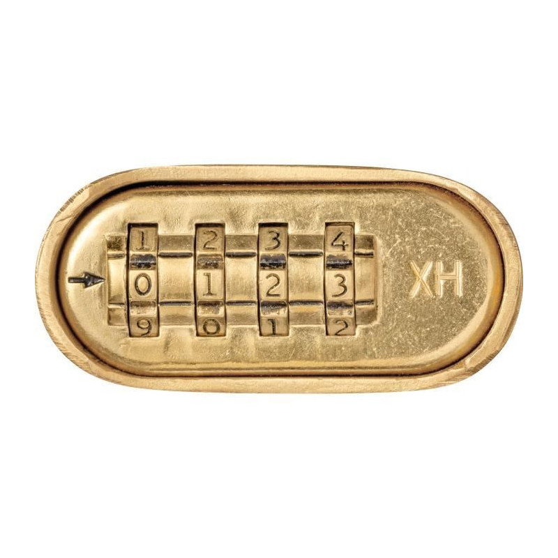 Combination padlock - ABUS - 180IB/50HB63 B/DFNLI - Forged brass body