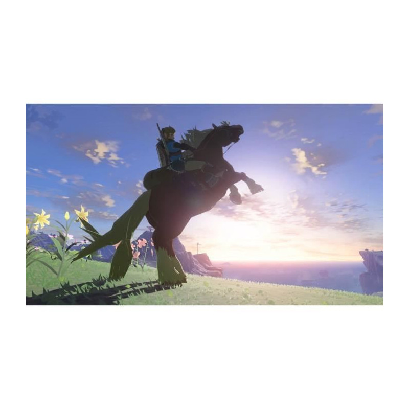 The Legend of Zelda: Tears of the Kingdom - Standard edition | Nintend