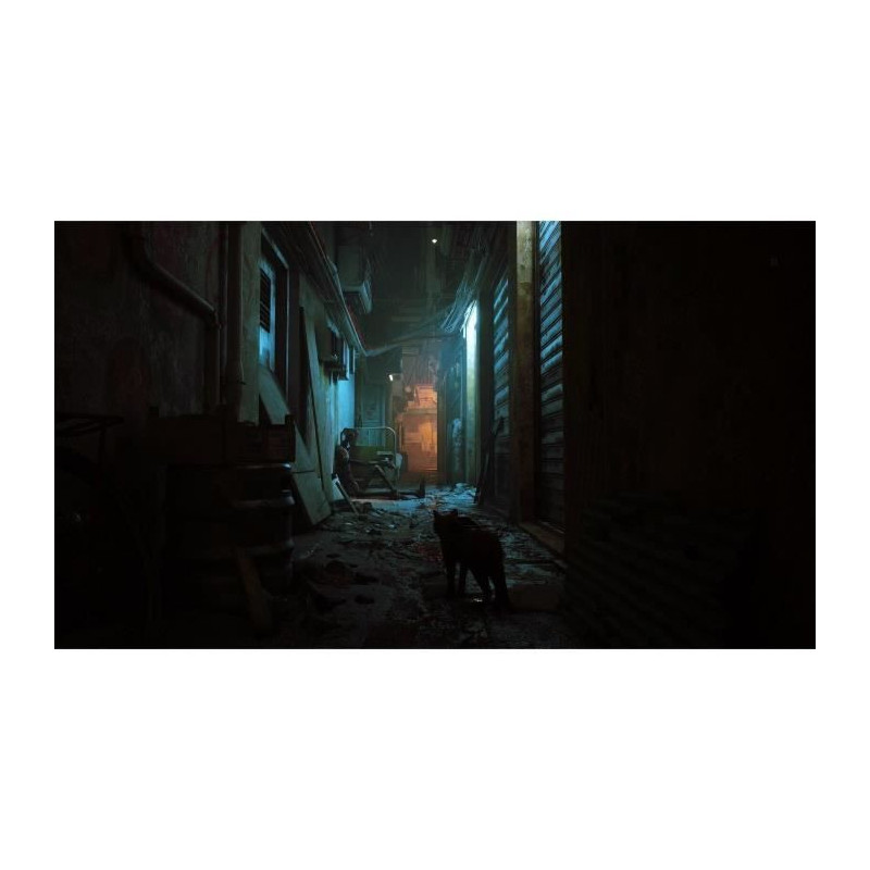 Stray - Nintendo Switch Game