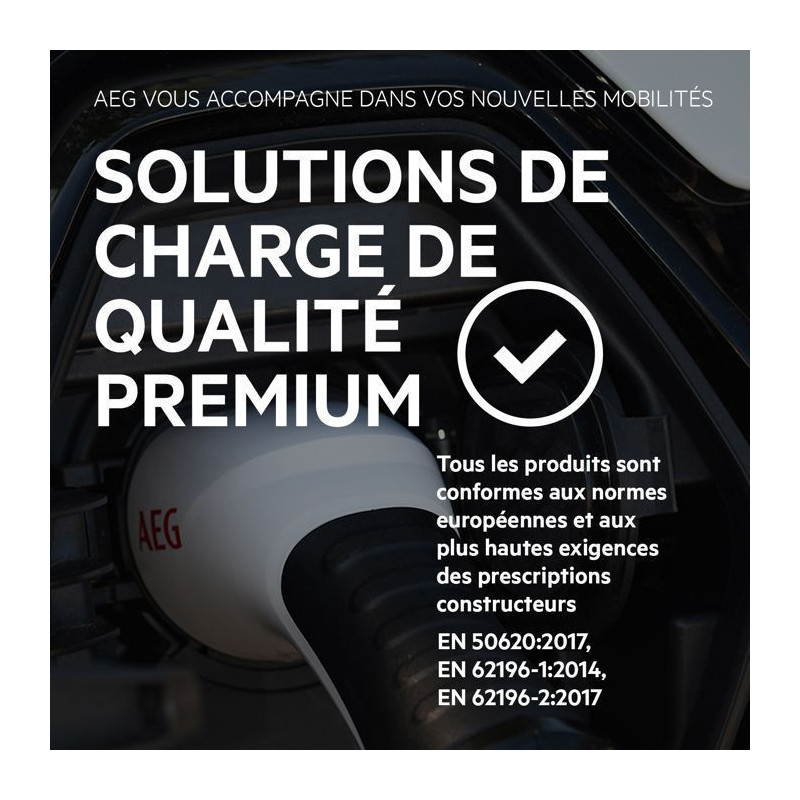 Battery charger - AEG - 201869 - Maximum charging power: 4 Amps. Charg